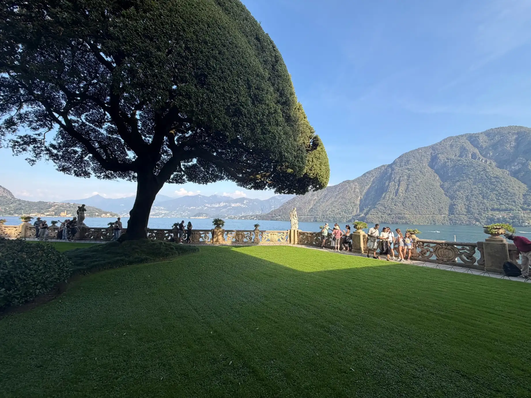 Trawnik i przystrzyżone drzewo w ogrodach Villa del Balbianello
