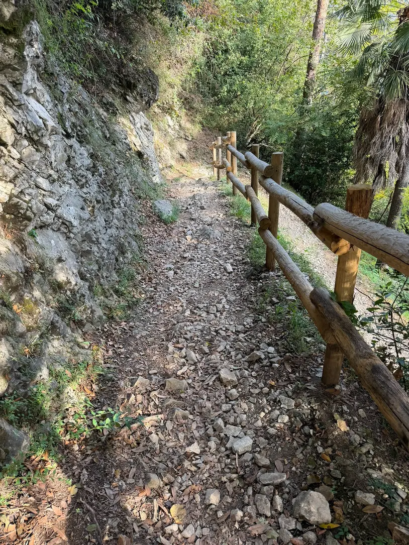 Kamienista leśna ścieżka przy barierce w drodze powrotnej z Villa del Balbianello